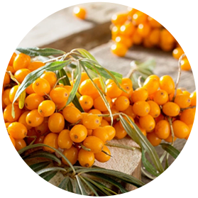 Seabuckthorn Oil